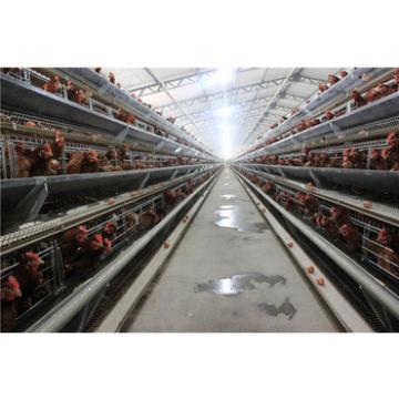 Light frame steel structure prefab poultry farm construction