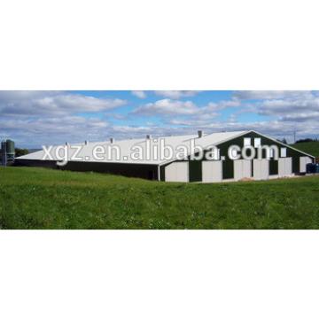 poultry chicken farm building house and equipment
