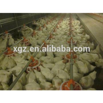 steel structure warehouse used for chicken eggs