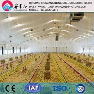 Automatic steel poultry house and rearing equipment supplier