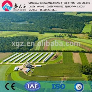large Prefabricated steel poultry chicken farm house and rear system