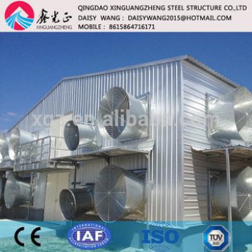 Steel chicken rearing house and equipments manufacture and designer