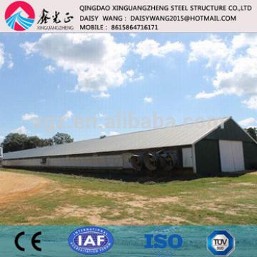 large modern steel chicken farm and rear equipments supplier