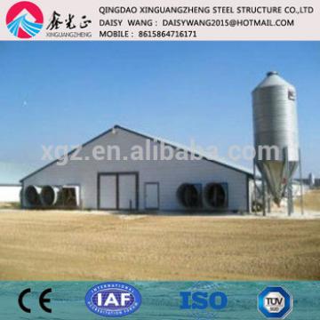 Chinese Modern automatic steel structure poultry chicken farm house