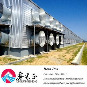 Automatic Control Equipment Chicken Egg House Steel Structure Poultry Farm Manufacturer