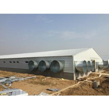 Design High quality Automatic chicken farm broiler poultry shed design