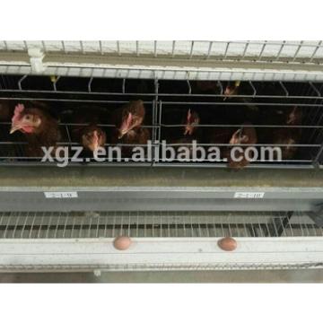 used chicken egg layer cages type for sale