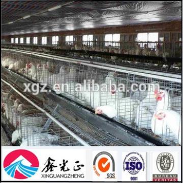 China factory supply egg chicken house design for layers