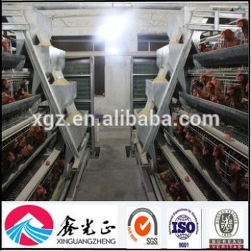 China Egg Chicken House Design For Layers / Chicken Cages