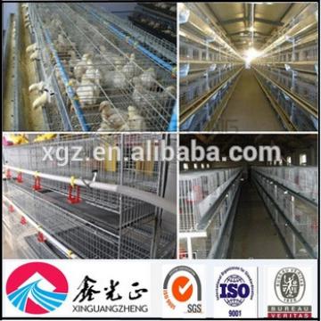 Hot sale automatic egg chicken house design for layers