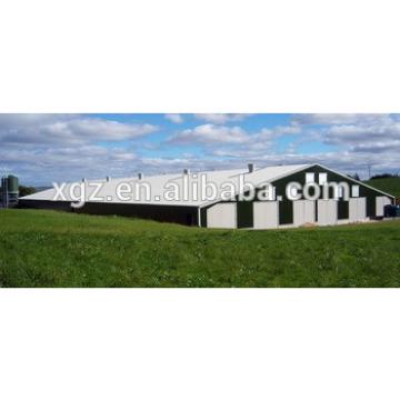High Strength Chicken poultry shed design