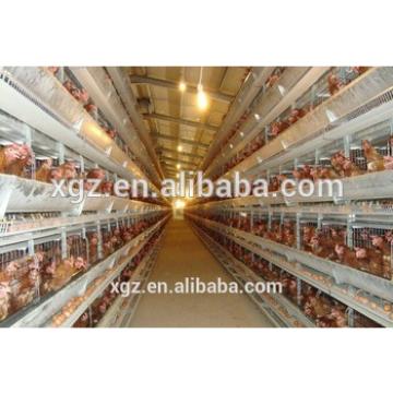 Hot-selling full-auto vertical lage-scale egg chicken house design for layers
