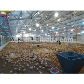 high quality design Steel Structure poultry shed construction