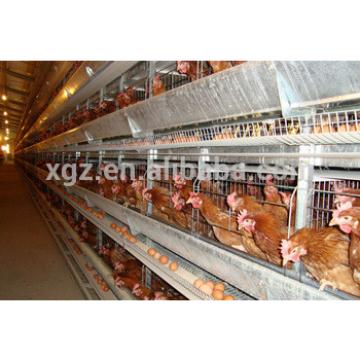 china cheap prefabricated steel structure chicken farm building