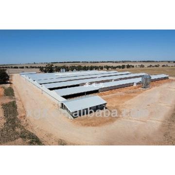 best price advanced automatic layer chicken poultry shed for sale
