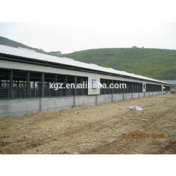 hot selling advanced automatic steel structure poultry farming shed in africa
