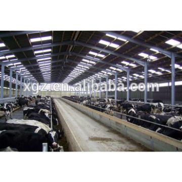 modern advanced automated cattle house