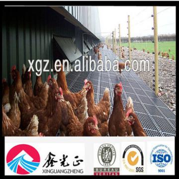 Chicken Poultry Farm with Equipment