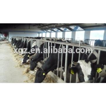 low price advanced automated cattle farm made in china