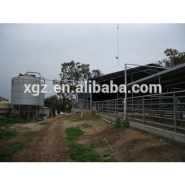 advanced automated cattle ranch in australia