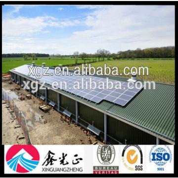 Pakistan Chicken Shed / Poultry Farm / Chicken House