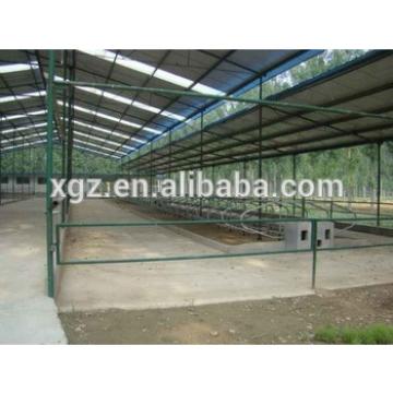modern advanced automated cattle shed