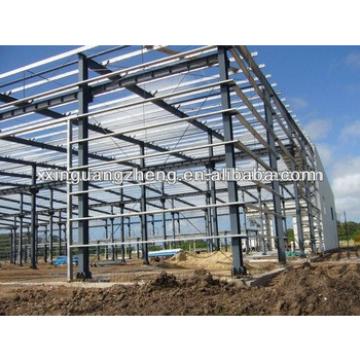 steel structure workshop/warehouse/building