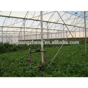 Multi Span Commercial Agricultural Glass Greenhouse