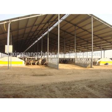 steel structure cow farm house in Pakistan