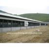 light steel structure prefabricated pig shed #1 small image