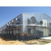 steel poultry shed building/steel structural prefab poultry house supplier in Qingdao #1 small image