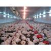 whole low cost light frame steel structure broiler/layer poultry house farm shed #1 small image