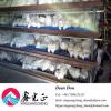 Light Steel Prefabricated Structure Poultry House Eggs Chicken Farm #1 small image