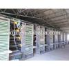 Automated cages for layers and broilers, modern steel poultry farm