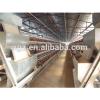 Chicken egg poultry farm construction