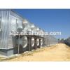 Steel structure automatic layer chicken poultry shed