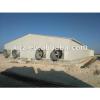 Large-scale automatic poultry farm design for chicken