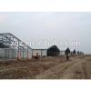 chicken broiler poultry farm