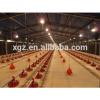 poultry farming equipment for chicken