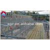 steel structure chicken layer poultry farm