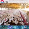 China made low cost rear equipments and steel poultry house
