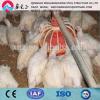 One-stop service full automaticchicken rearing house and equipment