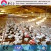 Modern rearing equipment and steel poultry house