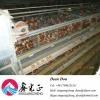 Auto Device Professional Steel Structure Poultry Farm Chicken House Manufacturer