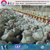 One stop service steel poultry house farm manufacture