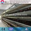 Modern automatic layer egg chicken cage system for poultry farm