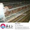 Automatic Equipment Chicken Egg House Galvanized Steel Poultry Farm Drawing Manufacturer