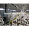 Commerical Prefabricated Steel Structure Automatic Broiler Poultry House #1 small image
