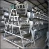 low cost structural steel Poultry Farm house and Equipment for sale