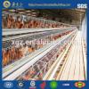 steel structure design poultry farm shed,chicken egg poultry farm #1 small image